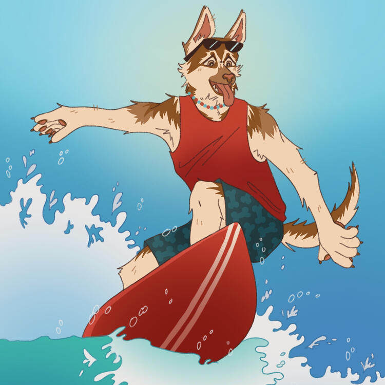 Surfing