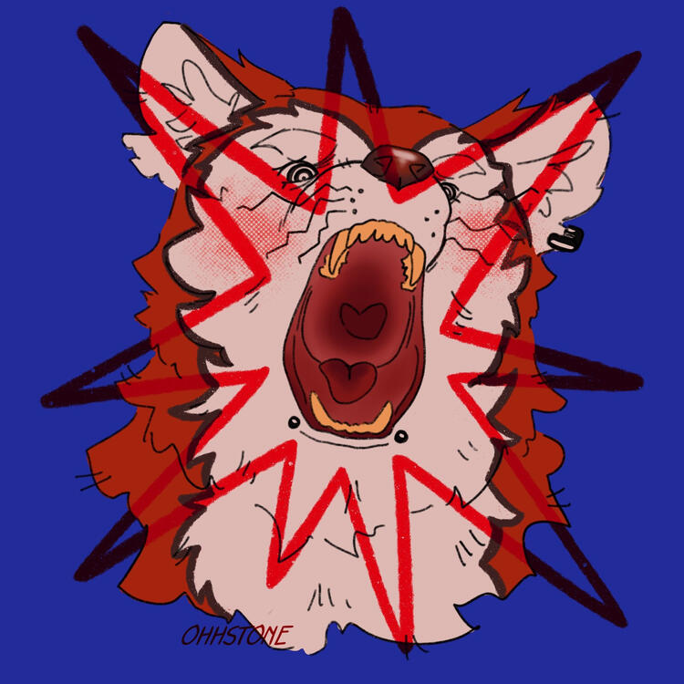 BARK